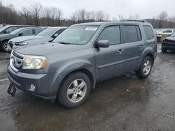 Salvage cars for sale at Marlboro, NY auction: 2010 Honda Pilot EX