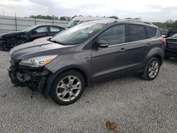 Ford salvage cars for sale: 2014 Ford Escape Titanium