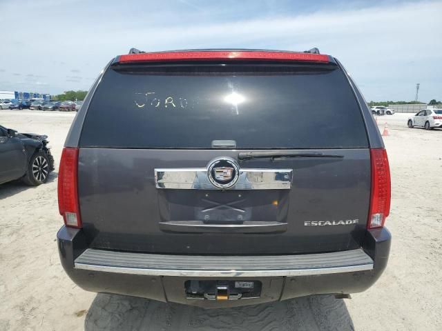 2010 Cadillac Escalade Luxury