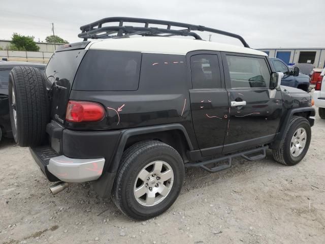 2010 Toyota FJ Cruiser