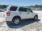 2010 Ford Escape XLS