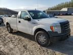 2010 Ford F150