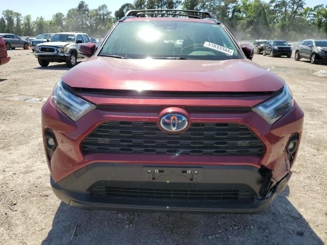 2024 Toyota Rav4 XLE Premium