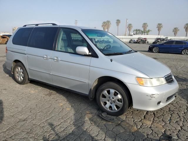 2004 Honda Odyssey EXL