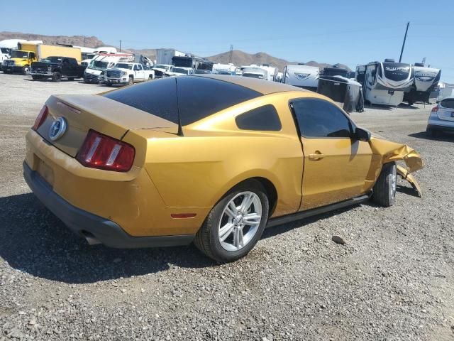 2010 Ford Mustang