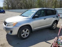 Salvage cars for sale at Glassboro, NJ auction: 2010 Toyota Rav4