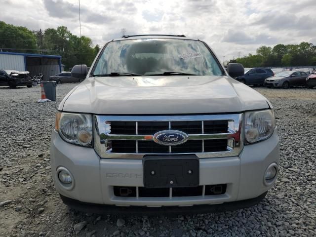 2009 Ford Escape XLT