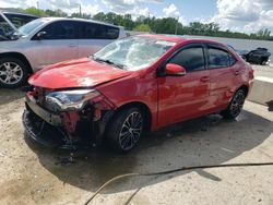 Salvage cars for sale at Louisville, KY auction: 2014 Toyota Corolla L