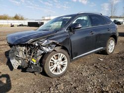 Salvage cars for sale at Columbia Station, OH auction: 2010 Lexus RX 450