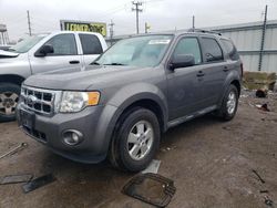 Salvage cars for sale at Chicago Heights, IL auction: 2012 Ford Escape XLT