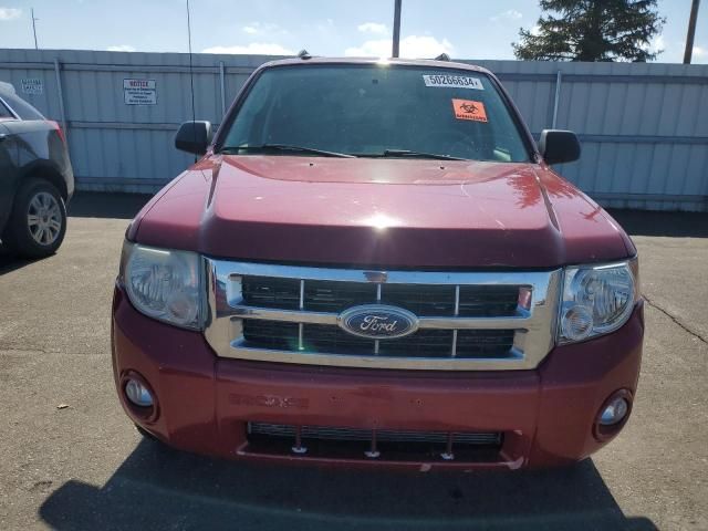 2010 Ford Escape XLT