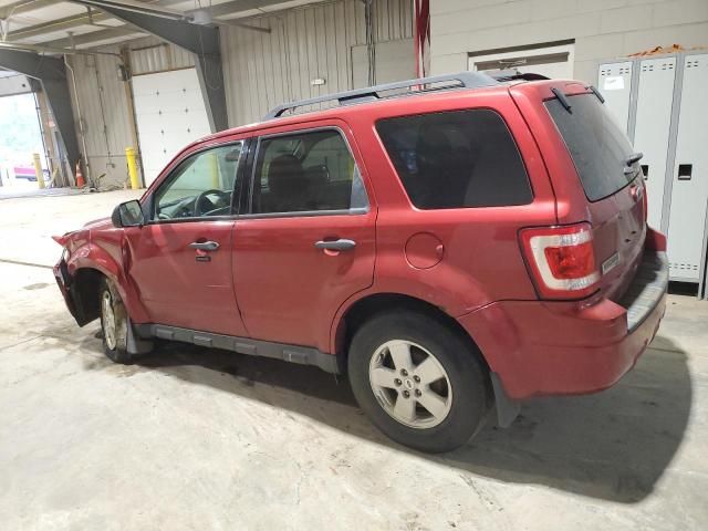 2012 Ford Escape XLT