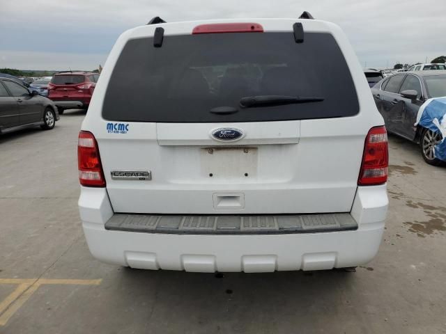 2011 Ford Escape XLT