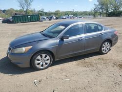 Honda Accord ex salvage cars for sale: 2010 Honda Accord EX