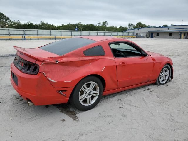 2013 Ford Mustang