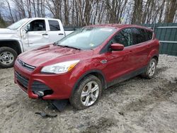 Salvage cars for sale at Candia, NH auction: 2016 Ford Escape SE
