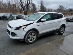 Salvage cars for sale at Albany, NY auction: 2015 Ford Escape SE