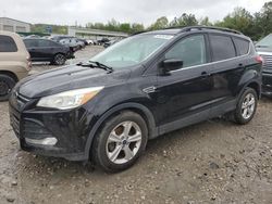 Salvage cars for sale from Copart Memphis, TN: 2016 Ford Escape SE