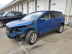 Ford salvage cars for sale: 2019 Ford Escape SE