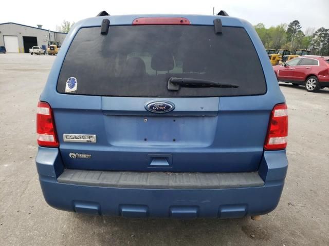 2010 Ford Escape XLT