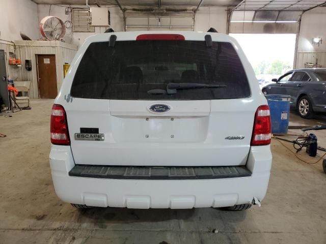 2008 Ford Escape XLT