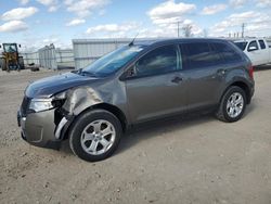Salvage cars for sale at Appleton, WI auction: 2014 Ford Edge SEL