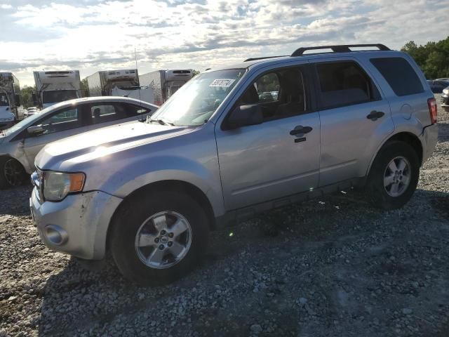 2010 Ford Escape XLT