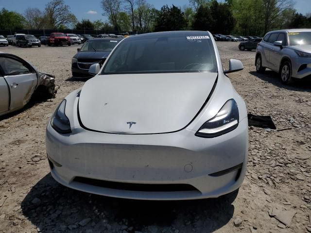 2020 Tesla Model Y