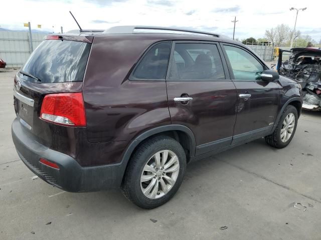 2011 KIA Sorento Base