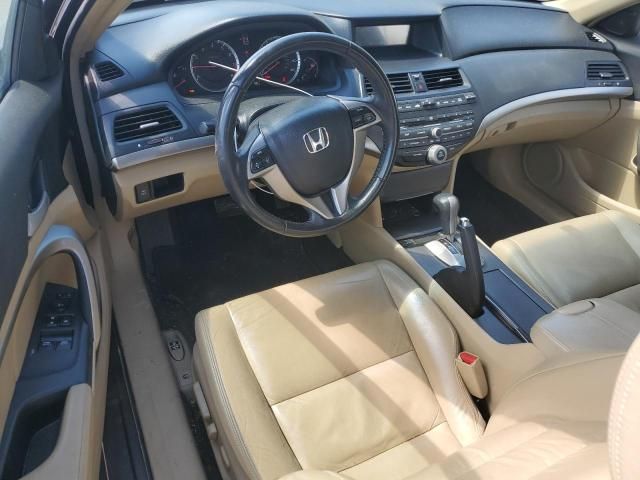 2009 Honda Accord EXL