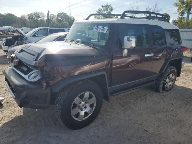 2007 Toyota FJ Cruiser