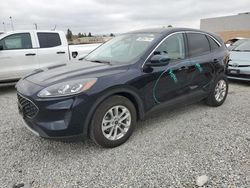 Salvage cars for sale at Mentone, CA auction: 2021 Ford Escape SE