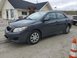 Salvage cars for sale from Copart Northfield, OH: 2010 Toyota Corolla Base