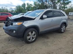 Salvage cars for sale at Baltimore, MD auction: 2013 KIA Sorento EX