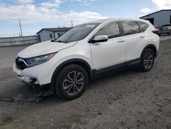 Salvage cars for sale from Copart Airway Heights, WA: 2020 Honda CR-V EX