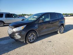 Salvage cars for sale from Copart Arcadia, FL: 2019 Ford Escape SE
