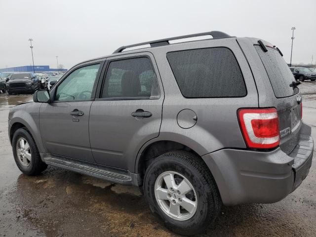 2009 Ford Escape XLT