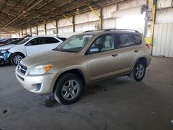 Salvage cars for sale from Copart Phoenix, AZ: 2012 Toyota Rav4