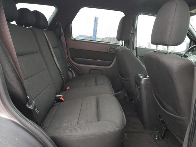 2009 Ford Escape XLT