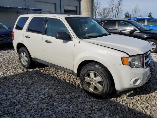 2012 Ford Escape XLT