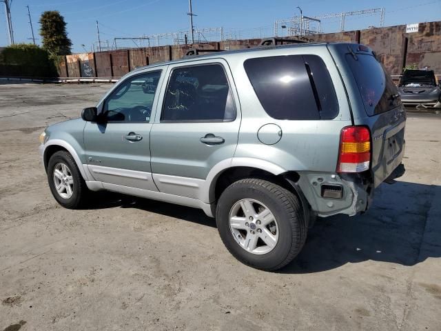 2005 Ford Escape HEV