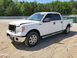 Vehiculos salvage en venta de Copart Gainesville, GA: 2013 Ford F150 Supercrew