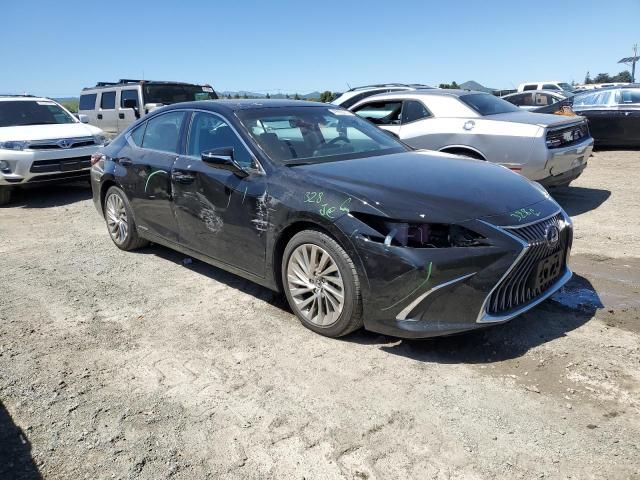 2019 Lexus ES 300H