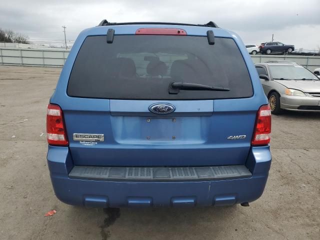 2009 Ford Escape XLT