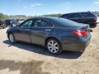 2009 Lexus ES 350