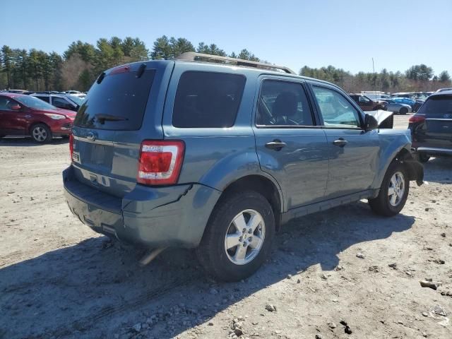 2011 Ford Escape XLT