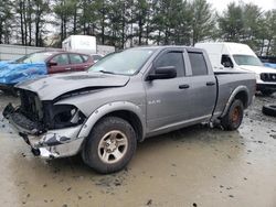 Dodge RAM 1500 salvage cars for sale: 2010 Dodge RAM 1500