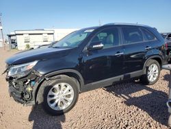 Salvage cars for sale at Phoenix, AZ auction: 2015 KIA Sorento EX