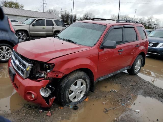 2011 Ford Escape XLT