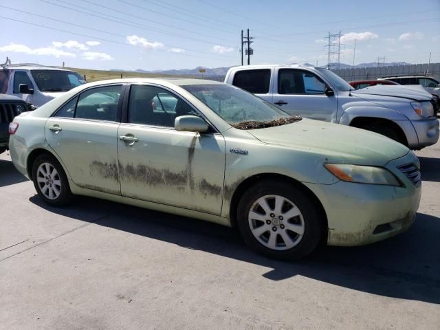 2008 Toyota Camry Hybrid